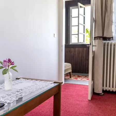Vlasta Villa Bruntal