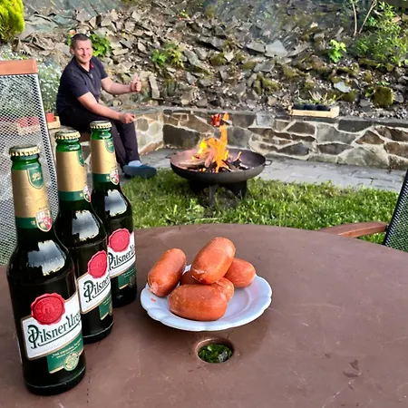 Vlasta Villa Bruntal